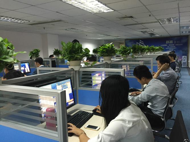 广州市恒盟投资咨询 专业投资咨询服务的价值与实践