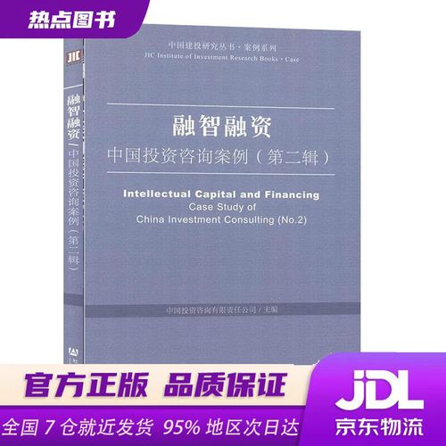 融智融资 中国投资咨询案例的实践与启示